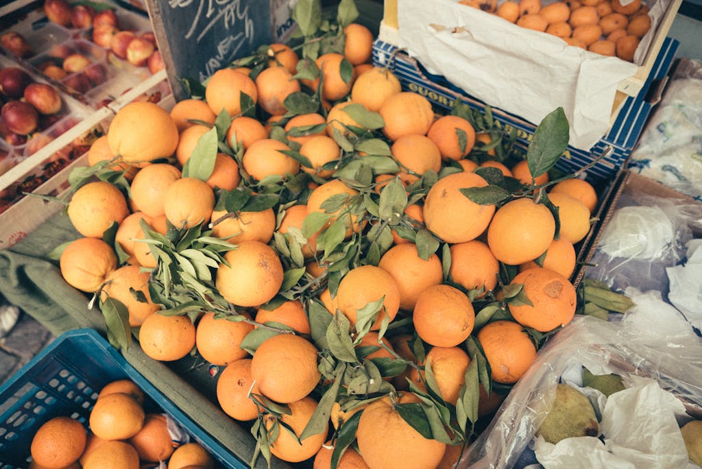 New Zealand working holiday - Farm fruits