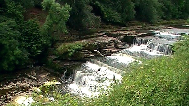 york small stream picnic