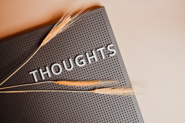 Close-up of a black perforated board with the word 'THOUGHTS' and wheat stalks.