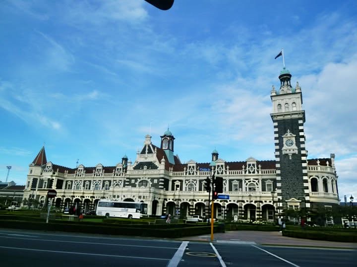 Finally, A City: One Week in Dunedin